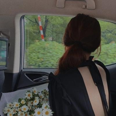 猫和老鼠：海盗寻宝